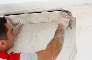 Coving Fitters Kirriemuir (Dialling code	01575)