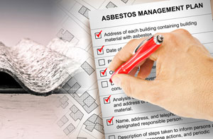Asbestos Removal Near Me Morley